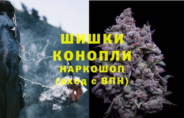 мдпв Волосово