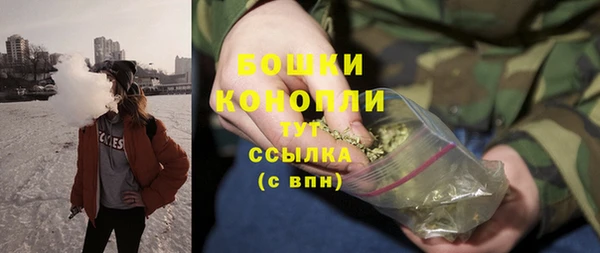 мдпв Волосово