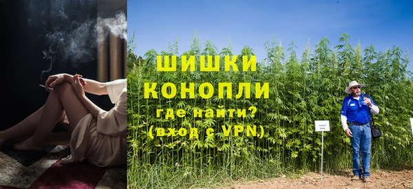 мдпв Волосово