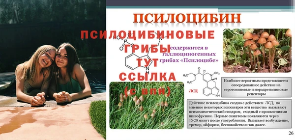 мдпв Волосово